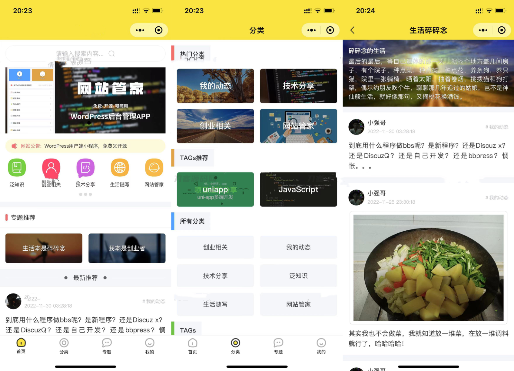 WordPress 网站博客论坛小程序源码